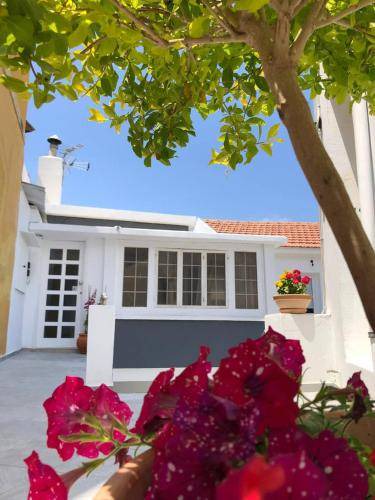 Old Town Apartment | 45 m² Apartment ∙ 3 guests