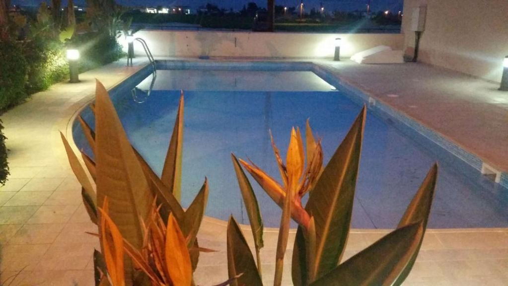 Kiti Apartment | Apartment with Balcony · Horizon View - lovely 2 bed, 2 bath apartment in friendly complex