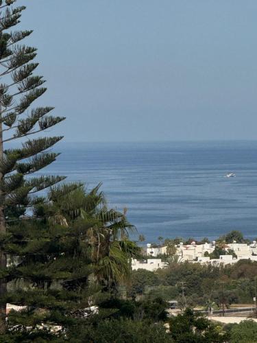 Melanos House | Arting Sea-A Dog friendly house