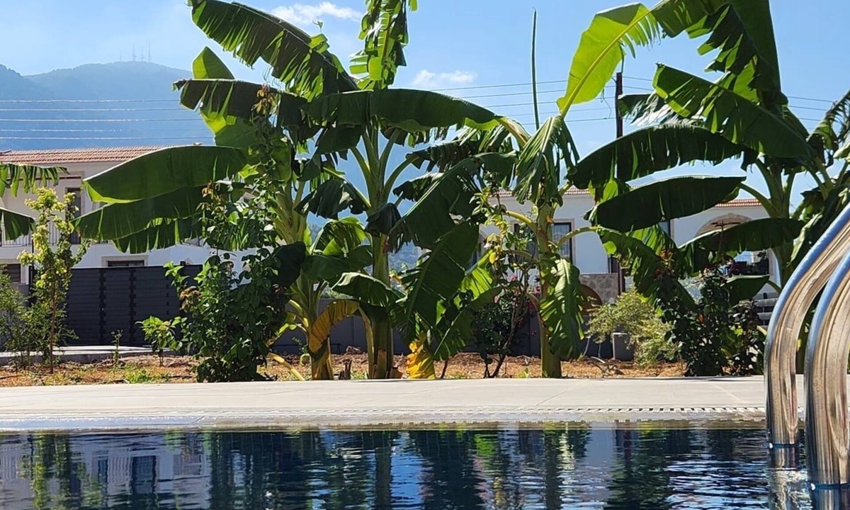 Karavas Villa | Beautiful villa with private pool sea & mountain view, full amenities, free WIFI