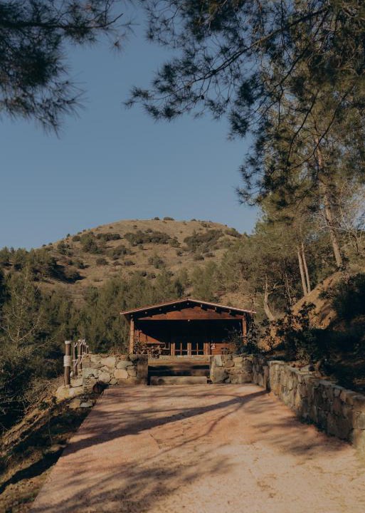 Treis Elies Other | Bosco Paradiso