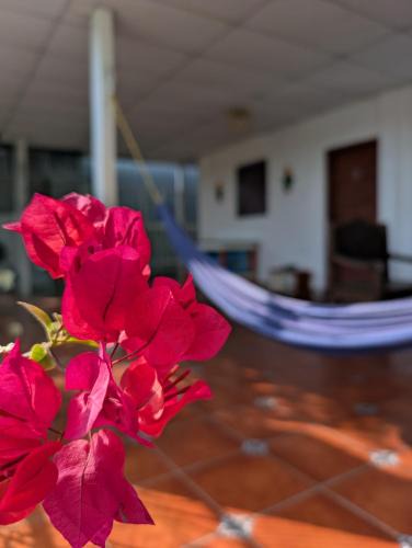 Managua House | Casa Liz