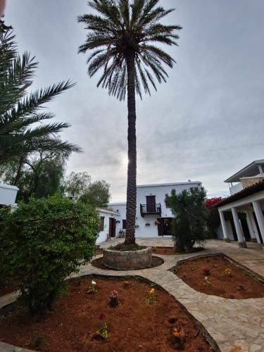 Zeytinlik House | Cyprus Village House