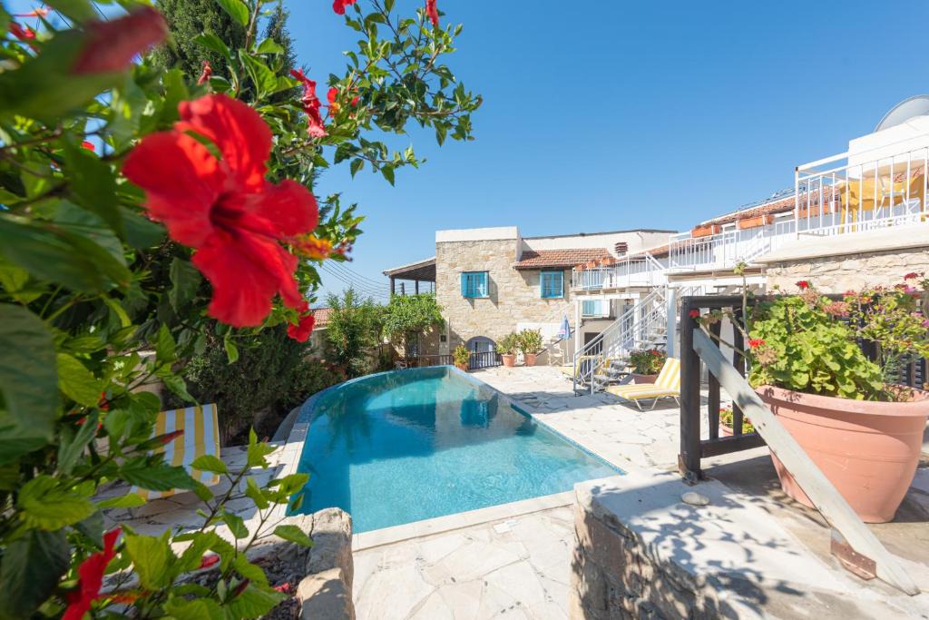 Tochni House | Danae House