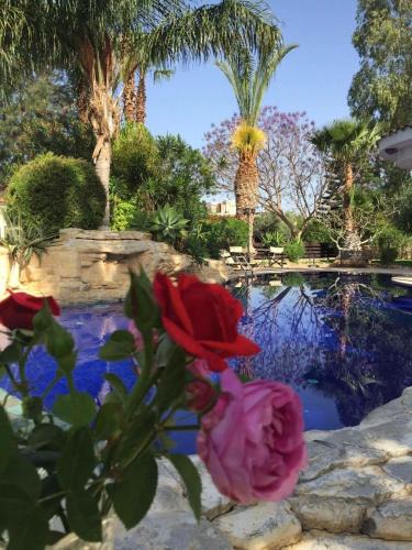 Anarita Villa | DEMICHANNA POOL HOUSE AND LUXURY SUITE WITH PRIVATE POOL