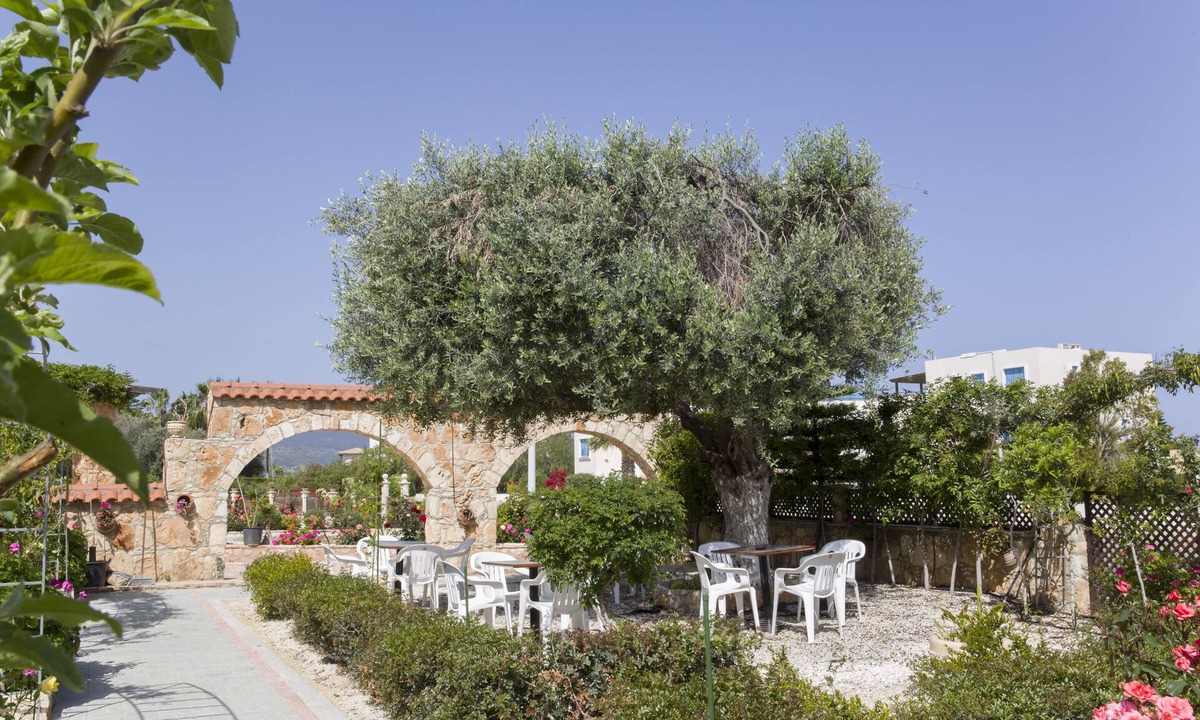 Latchi House | Eliofos Elegant Maisonettes
