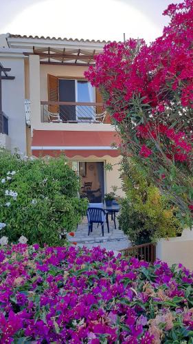 Peyia Town House | Eva Gardens Corner House with Pool and Garden near Coral Bay