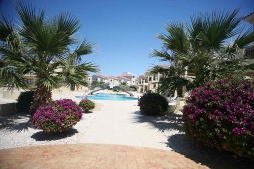Faros Beach | Paphos