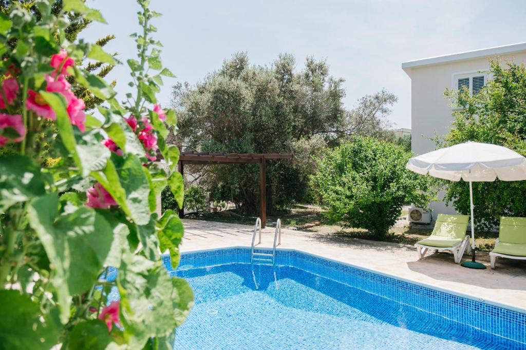 Pano Akourdalia House | Five Greeks 4 Bedroom Villa in Paphos