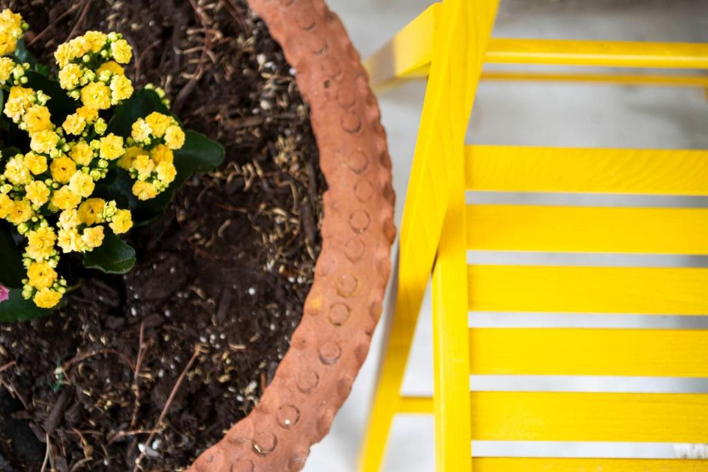 Trimiklini House | Floropounta