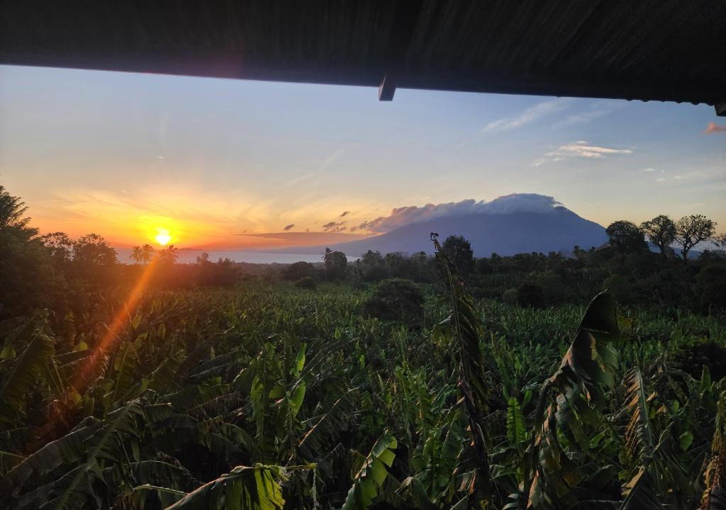 Ometepe Island House | Hostal Bullshark