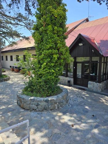 Troodos Hotel | Jubilee Hotel Troodos
