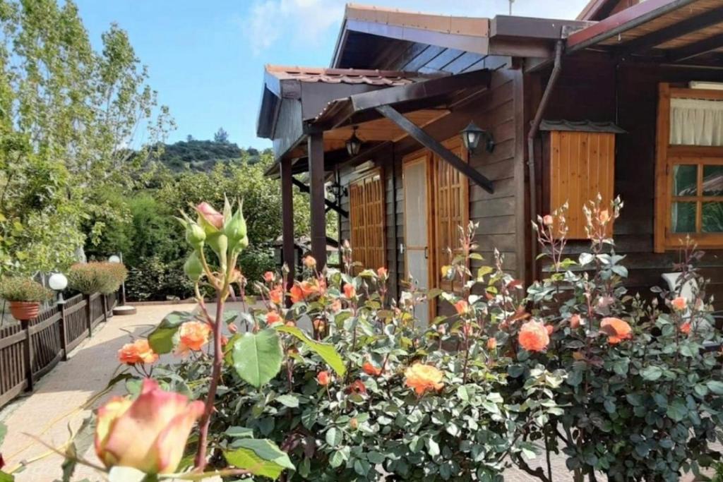 Vasa Koilaniou Ski Chalet | Kapilio Cottage House