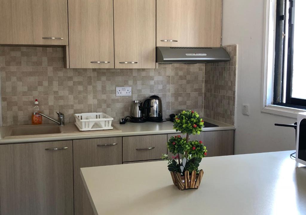 Oroklini Apartment | Kasapis Apts