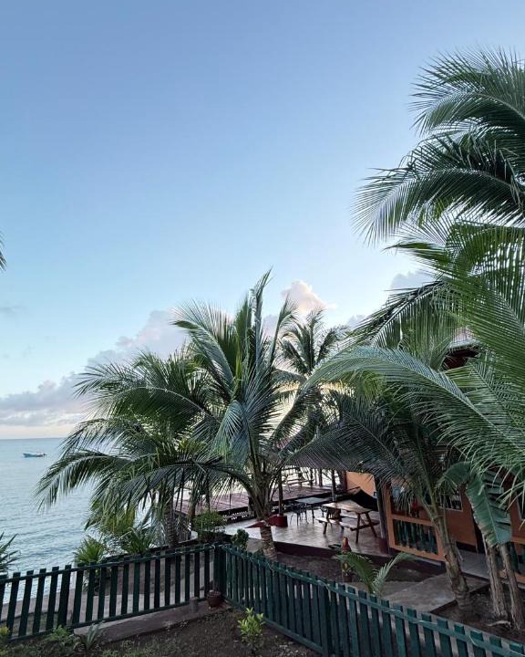 Little Corn Island Bed & Breakfast | Las Palmeras OceanView Hotel and Dive Center