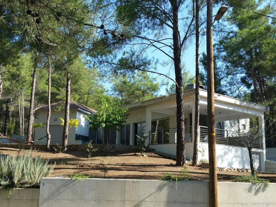 Saittas Villa | Moniatis Villa