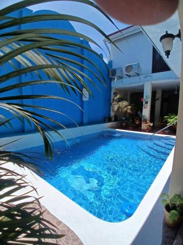 Mombacho Volcano Nature Reserve Hotel | Hotel El Internacional