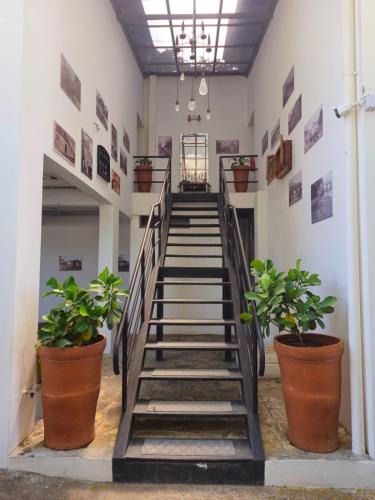 Rivas Hotel | Nica Valley