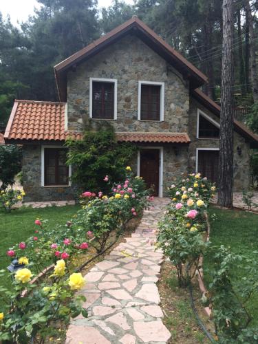 Platres Villa | Rose Garden Platres
