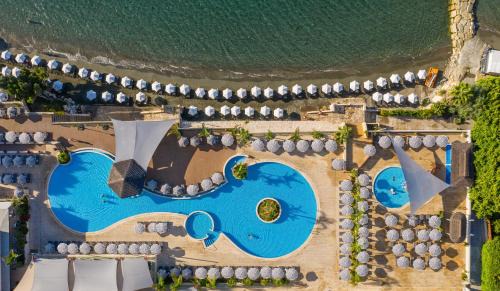 Potamos tis Germasogeias Hotel | Royal Apollonia by Louis Hotels