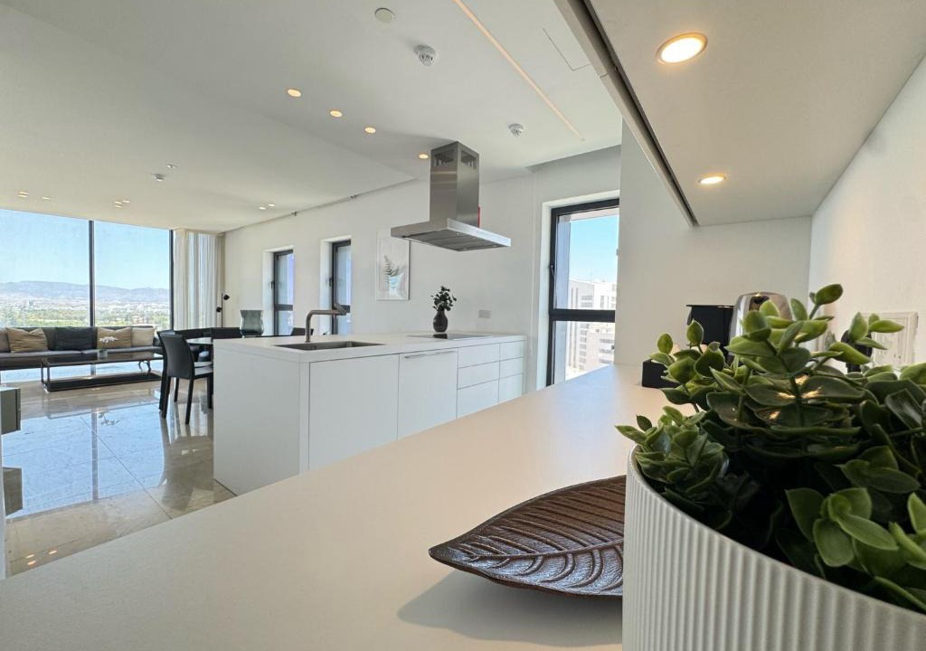 City Centre Apartment | SkyHigh Park View Residence