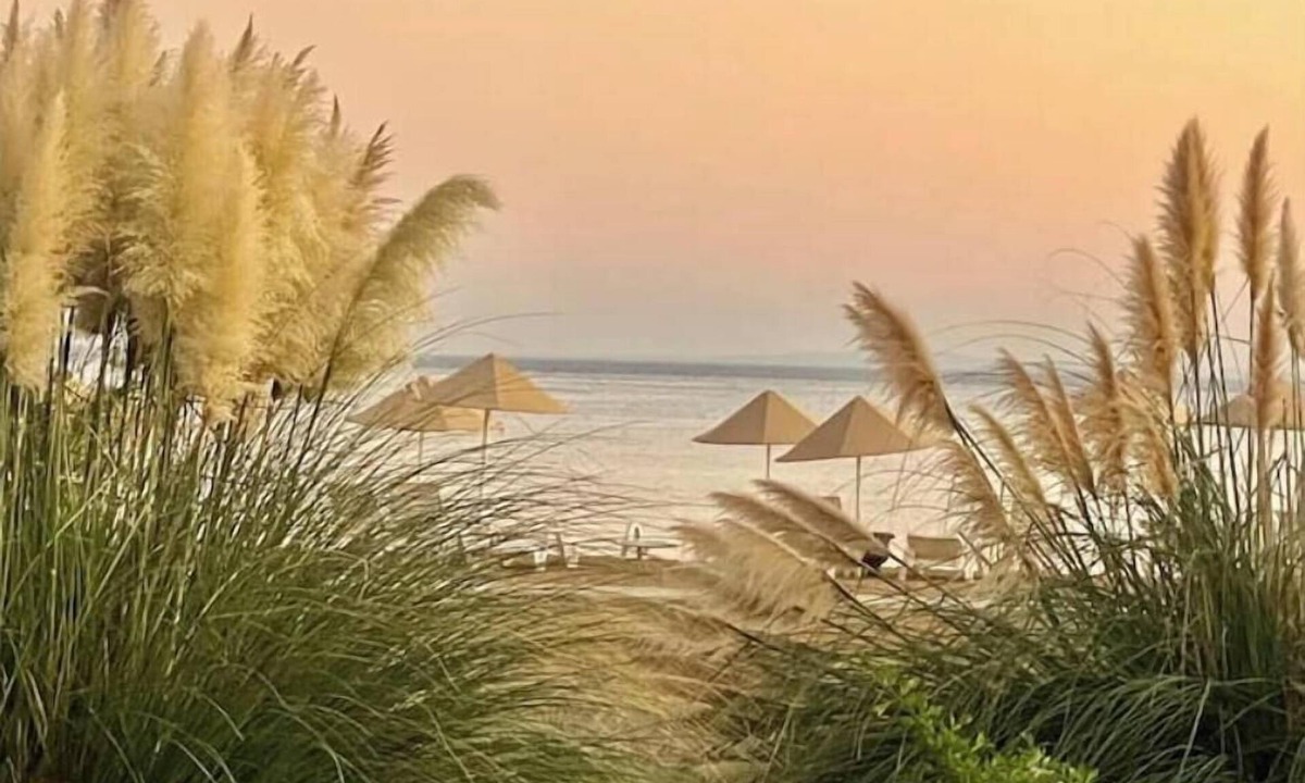 Bafra Resort | Smart Olive Suite by the Sea