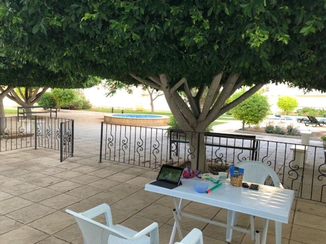 Gastria House | Sun Rise Beach Club - CZ2