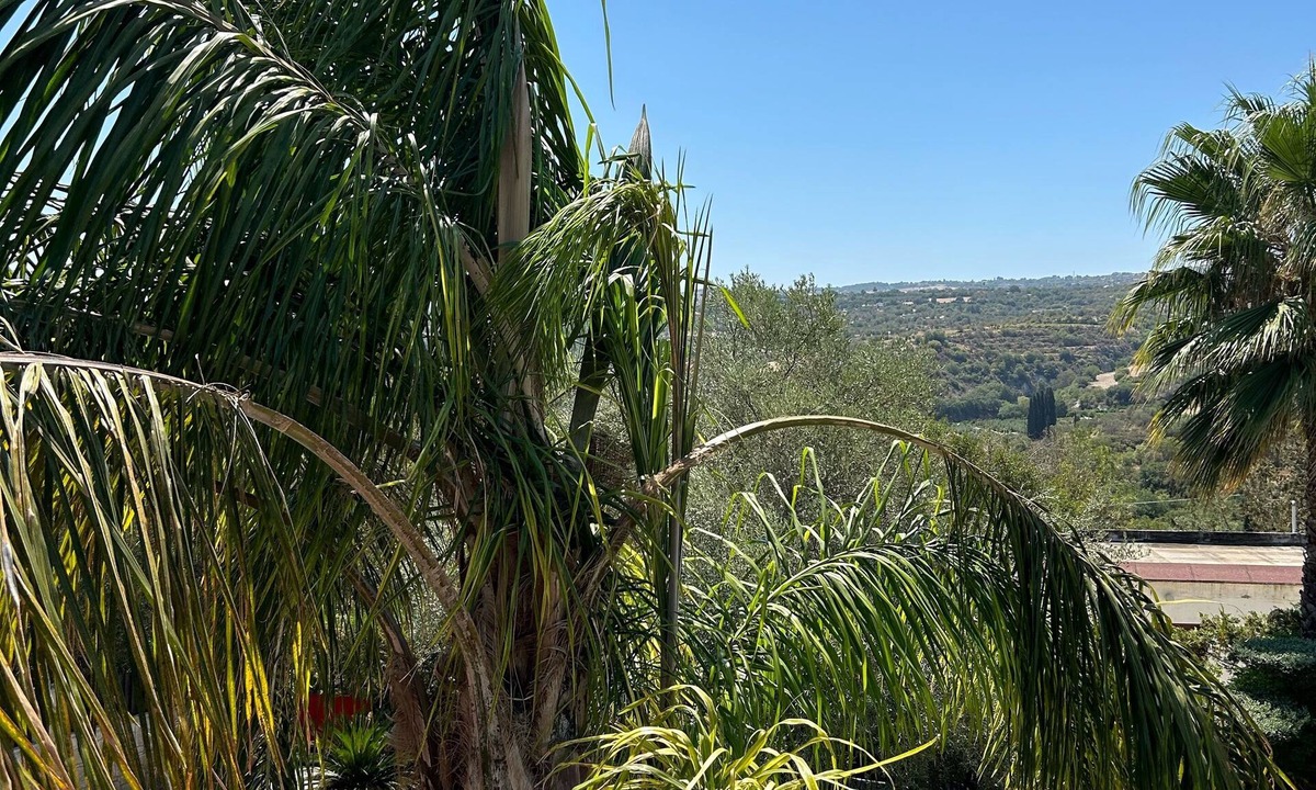 Miliou Villa | “Valencia Grove” Traditional Stone Villa with Pool