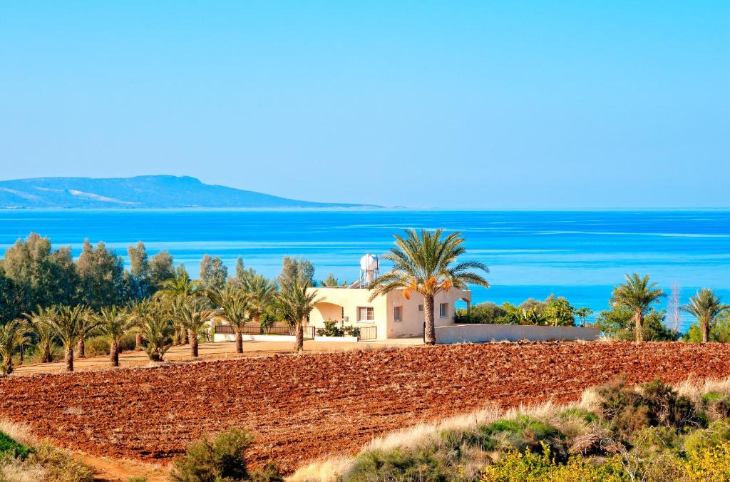 Argaka Villa | Villa 339
