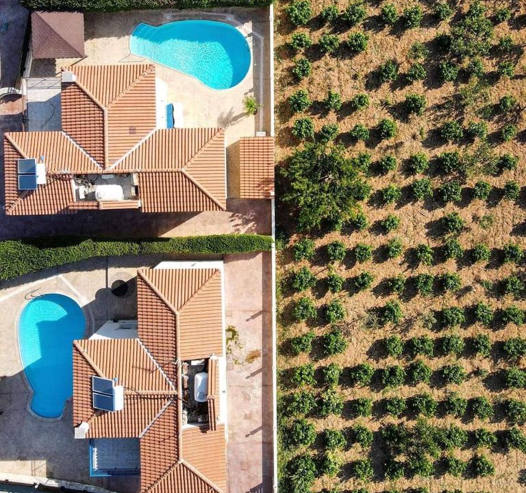 Kathikas Villa | VILLA FROSO
