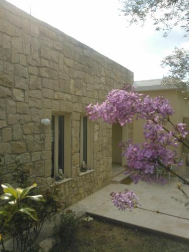 Pano Akourdalia Villa | Villa Koumneni