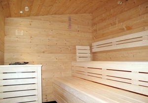 27 m² Apartment ∙ 1 bedroom ∙ 2 guests in Fendels
