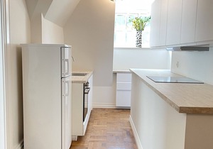aday - Aalborg Mansion - 3 Bedrooms Apartment in Aalborg