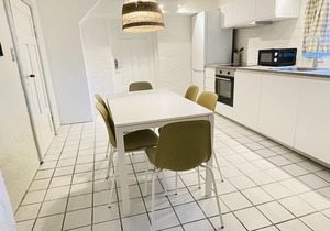 aday - Aalborg Mansion - Charming 3 Bedroom Apartment in Aalborg