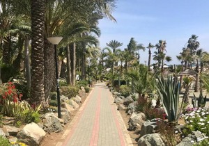 Apartments in Limassol, Cyprus
