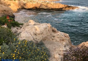 Ikaria Village 202