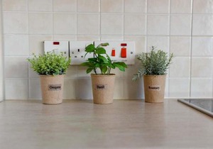 Melania Gardens Apartment