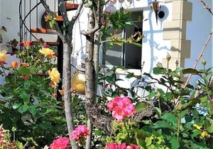 Rose Garden Villa Peristerona