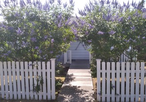 Short walk to Ocean beaches, excellent restaurants and entertainment in Ocean Beach