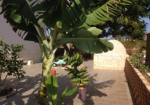 Two Bedrooms Apartment First floor 110 square meters, 50 meters near the sea