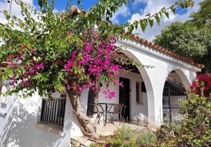 Villa/House/Bungalow , 1 Bedroom + ,Sea Views, Privacy, WIFI Tala Paphos