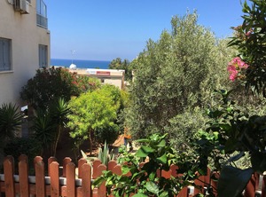 Diamond Complex | Paphos