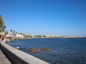 Regina Gardens | Paphos
