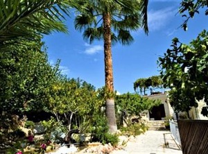 Garden Villa Peristerona | Peristerona