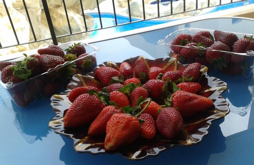 Oroklini Apartment | 2-bedroom apartment with swimming pool in Larnaca