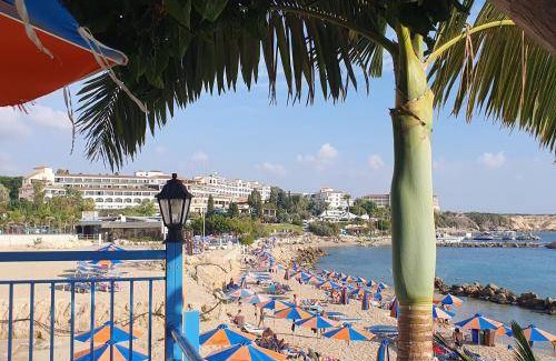 Pegeia Apartment | 30 m² Apartment ∙ 1 bedroom ∙ 2 guests