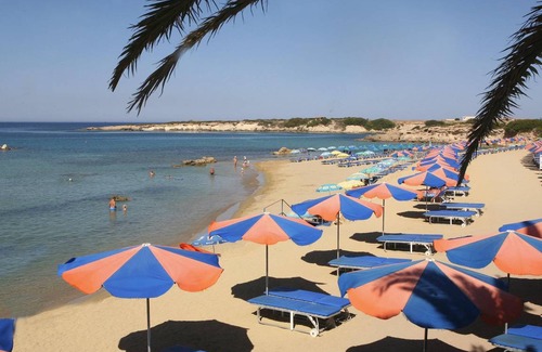 Pegeia Apartment | 38 m² Serviced apartment ∙ 127 guests