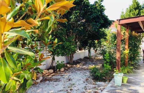 Dromolaxia Apartment | 40 m² Apartment ∙ 1 bedroom ∙ 4 guests
