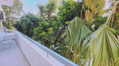 Neapolis Apartment | 96 m² Apartment ∙ 2 bedrooms ∙ 4 guests