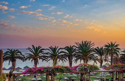 Ayia Napa Hotel | Alion Beach Hotel